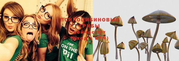 стафф Алзамай