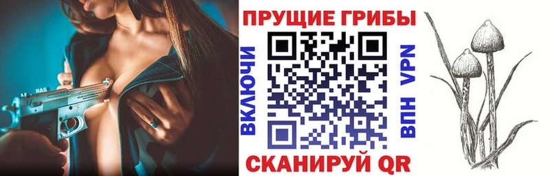 МЕГА маркетплейс Астрахань Псилоцибиновые грибы MAGIC MUSHROOMS